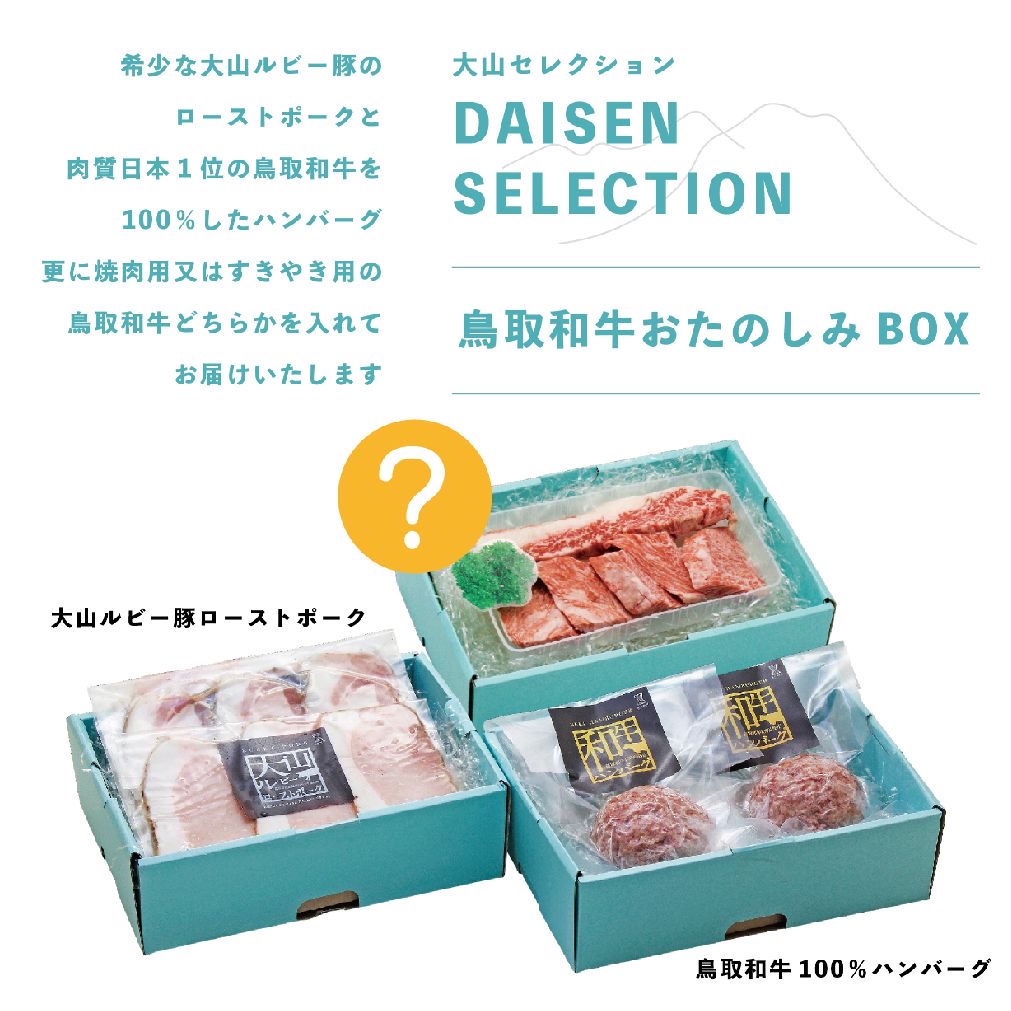 DAISEN SELECTION【鳥取和牛おたのしみBOX】